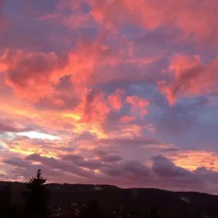 Wohlfuehloase Mit Blick Auf *