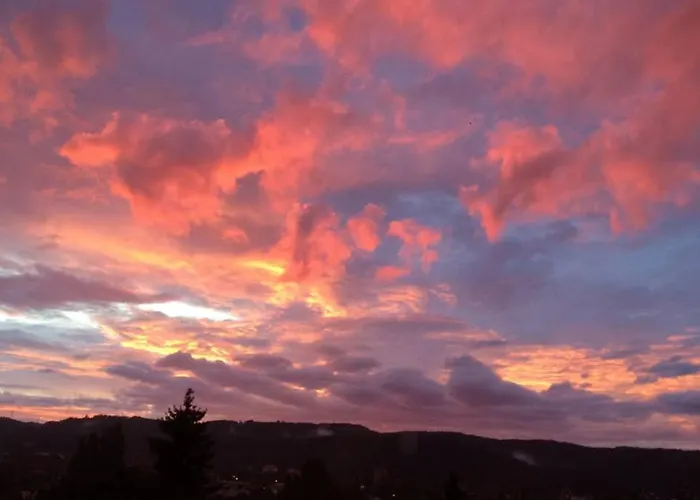 Wohlfuehloase Mit Blick Auf *